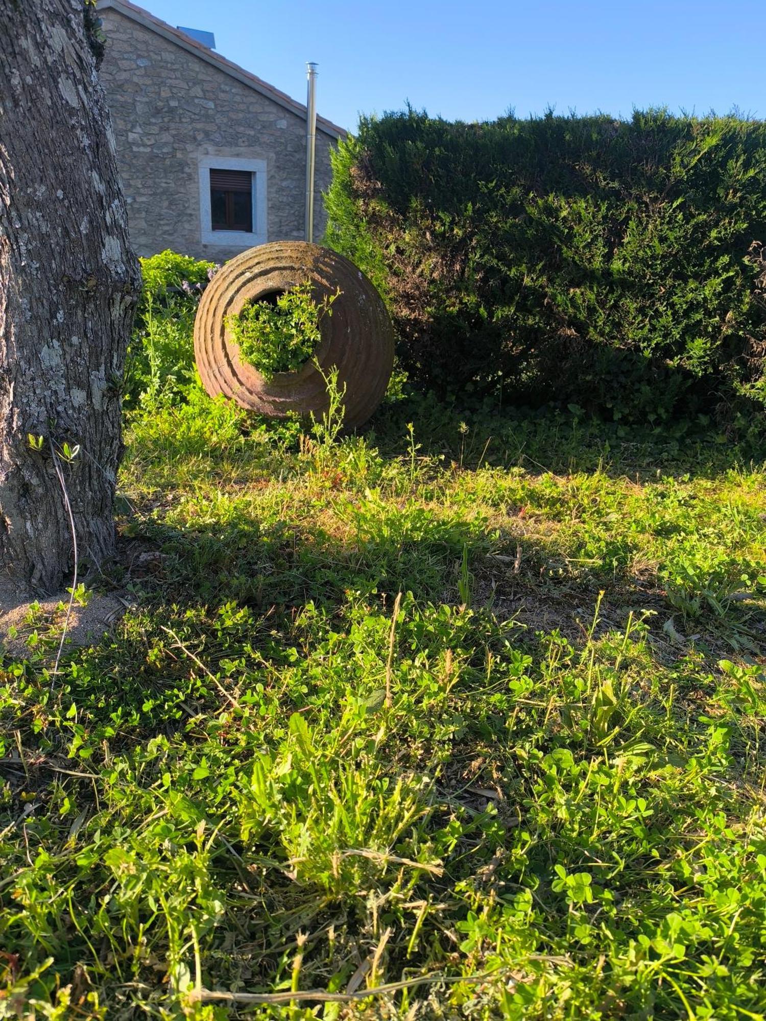 Cabanas Miraduero Aldeadávila de la Ribera 외부 사진